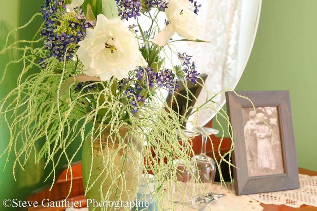 Ici Et Maintenant Bed & Breakfast Magog ภายนอก รูปภาพ